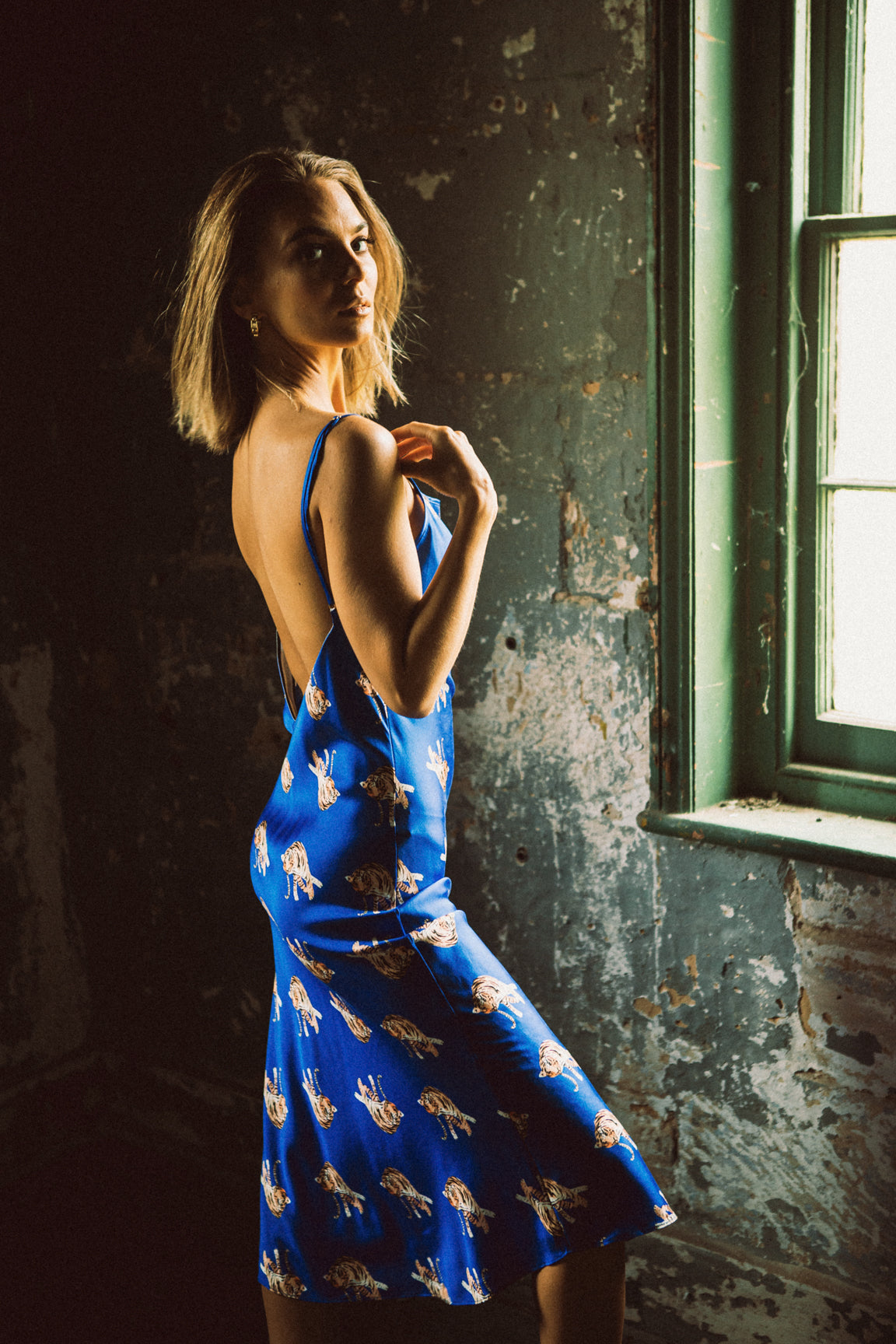 Tiger print, blue silk dress